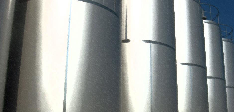 Promotores do Forum para a Governação Integrada